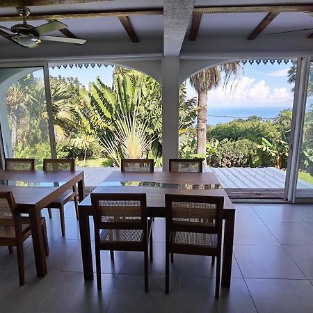 Le Jacaranda Du Guillaume Bed & Breakfast Le Guillaume Ngoại thất bức ảnh